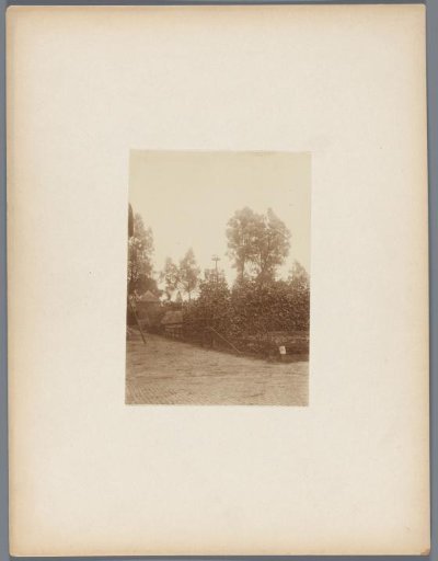 Stork's nest