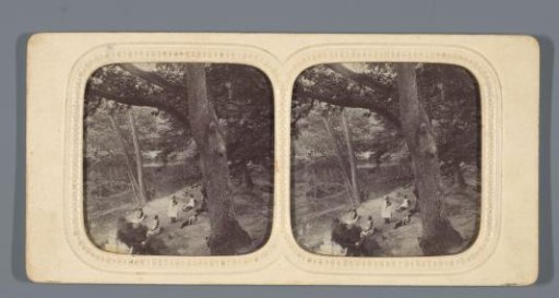 Children by a pond in the forest