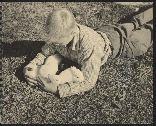 Boy with rabbits