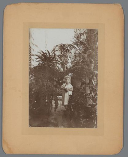 Portrait of Rose Charlotte van Lelyveld Among Plants