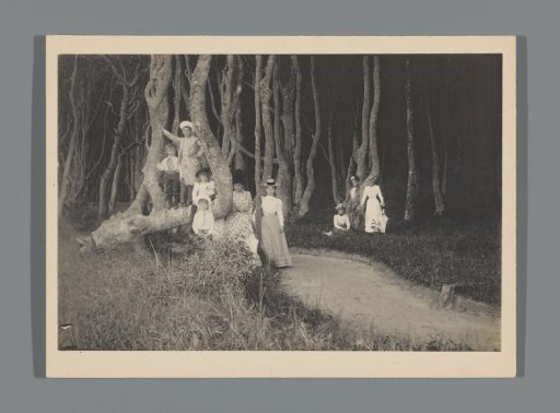 Group portrait in a wood