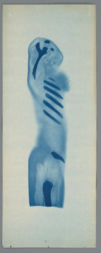 Radiographic views of a sagittal sectioned human body