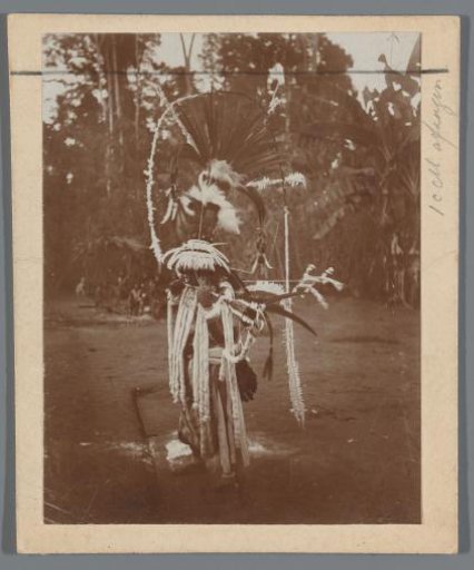 Warrior in Regalia During the Tamoek Expedition