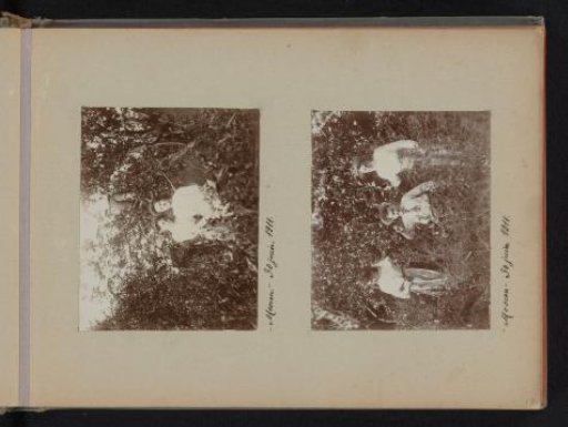 Two women and a boy among bushes and trees