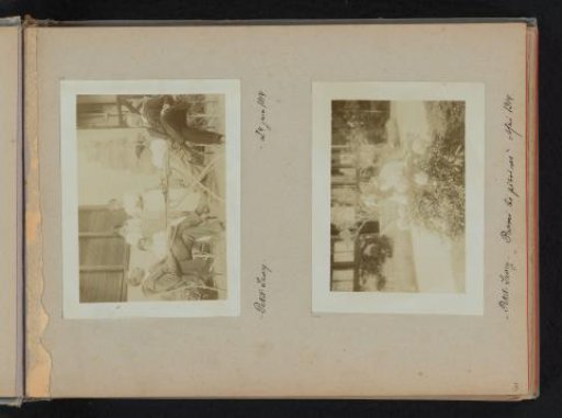 People on a terrace and a woman with a dog behind a bush
