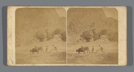 View of an alpine landscape with a ploughing farmer in Le Bourg-d'Oisans, France