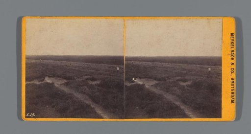 View of a heath landscape between Zuidlaren and Eext