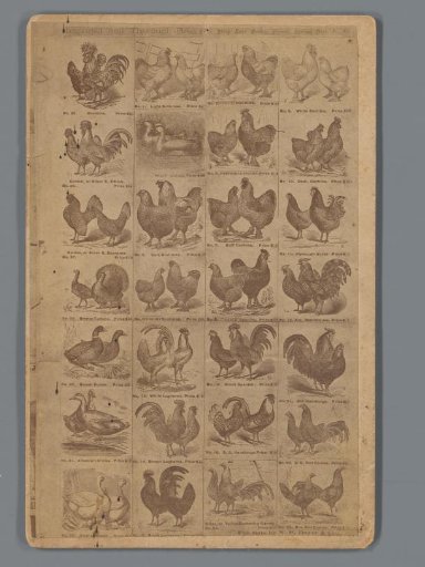 Photographic reproduction of 28 prints of poultry, advertisement for N.P. Boyer & Cie.
