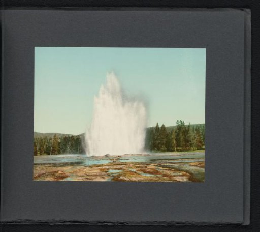 View of an erupting Fountain Geyser in Yellowstone National Park