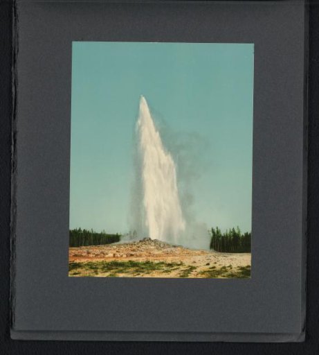 View of an erupting Old Faithful geyser in Yellowstone National Park