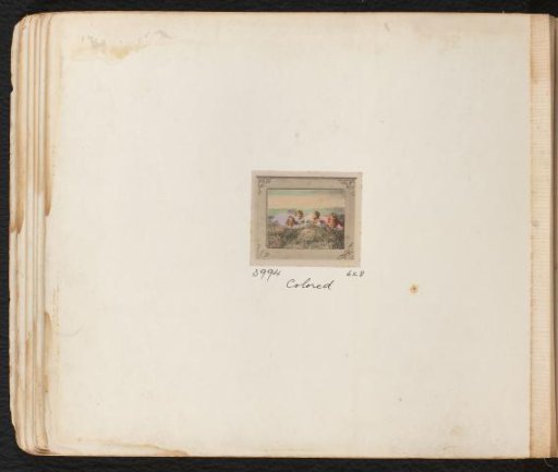 Portrait of four unknown children lying in a meadow
