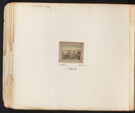 Portrait of four unknown children lying in a meadow