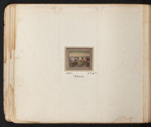 Portrait of four unknown children lying in a meadow