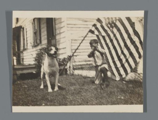 Boy with a dog, rifle, and American flag