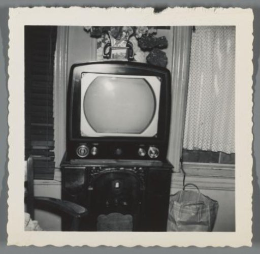 Portrait of the television