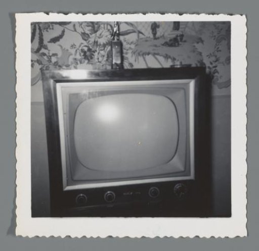 Portrait of the television