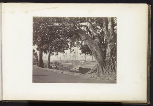 View of the port with a large tree in the foreground, Kolkata, West Bengal, India