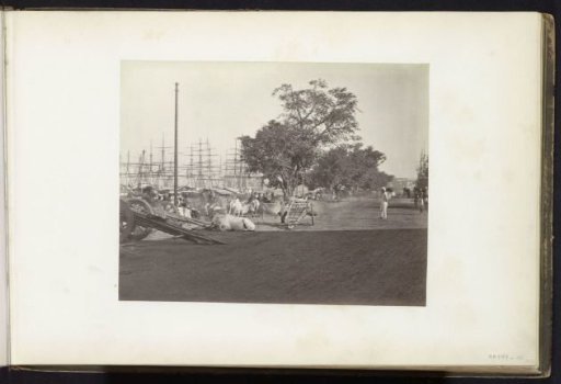 Quay with cattle, carts, and ships, Kolkata, West Bengal, India