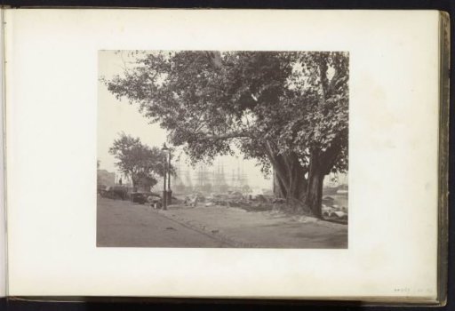 View of the port with a large tree in the foreground, Kolkata, West Bengal, India