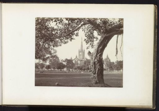 St. Paul's Cathedral seen from beneath a gnarled tree, Kolkata, West Bengal, India