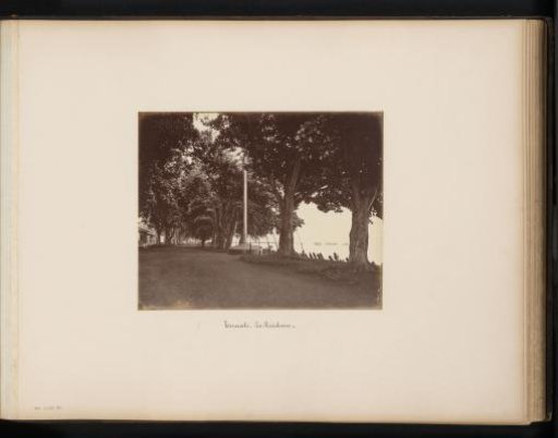 Avenue on the coast near the residence of Ternate