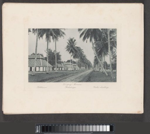 Avenue with houses of contract workers in Tandjong Morawa on Sumatra