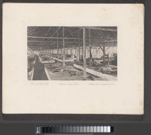 Sorting Shed of a Tobacco Plantation in Sumatra