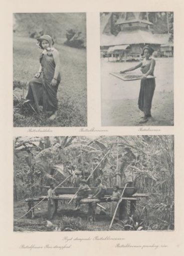 Two portraits of Batak girls (top) and group portrait of Batak women stamping rice (bottom) on Sumatra