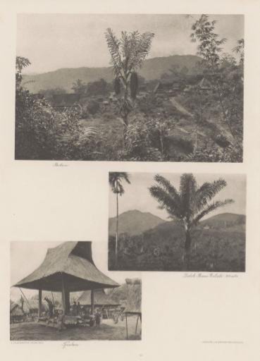 View of the village of Bukum (top), coffee and rubber plantation Dolok Baros Estate (middle) and villagers in Tjinkem (bottom) on Sumatra
