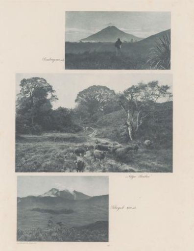 View of the Sinabong volcano (top), landscape with buffaloes (middle) and view of the Sibayak volcano (bottom) on Sumatra