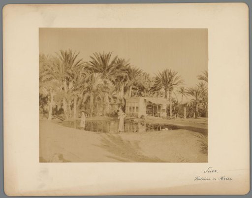Oasis near Suez