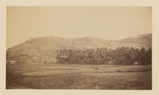 View of a Sawa