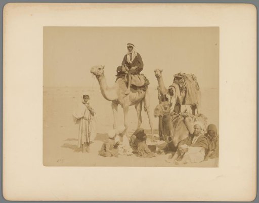 Group portrait of unknown Bedouins with camels