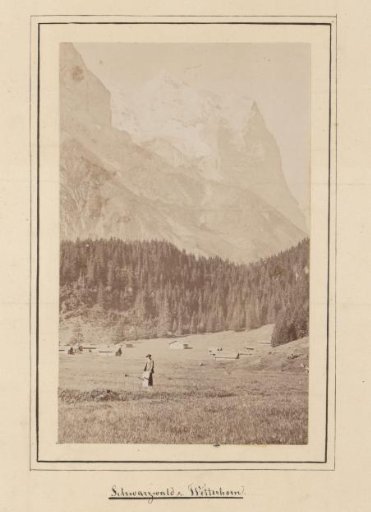 View of the Wetterhorn