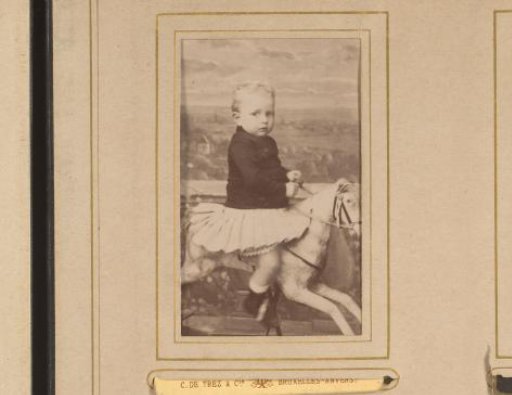 Portrait of a girl on a hobby horse