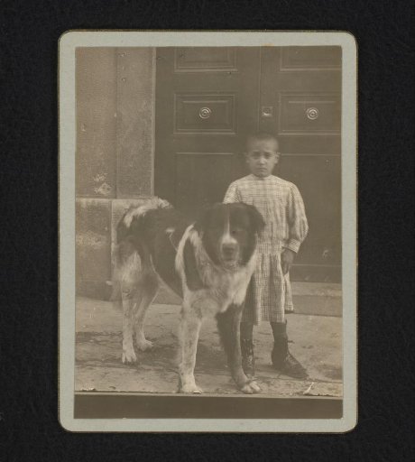 Portrait of a Boy with a Dog