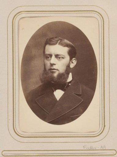 Portrait of a Man with a Beard