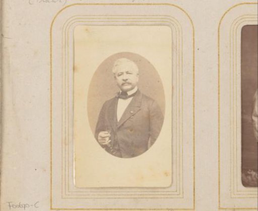 Portrait of Ferdinand de Lesseps