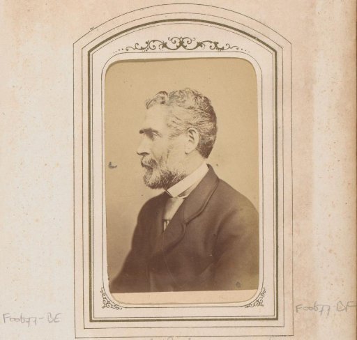 Portrait of John Lothrop Motley