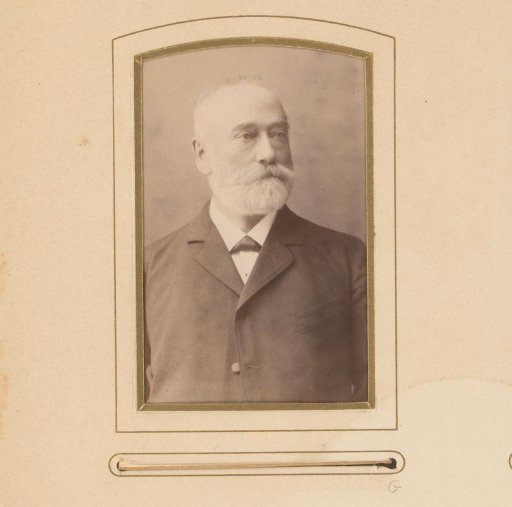 Portrait of a Man with a Mustache and Beard