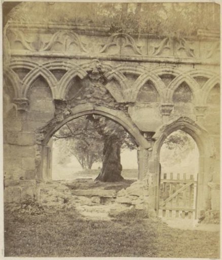 Tree seen through a ruin in England