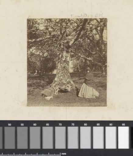 Twee vrouwen aan de voet van een dikke boom in Engeland