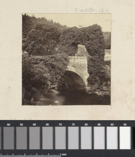 Rivierlandschap met overwoekerde brug in Engeland