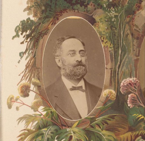 Portrait of a man with a beard