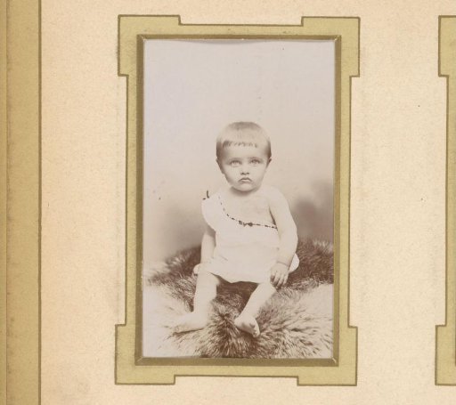 Portrait of Roger van Hoecke