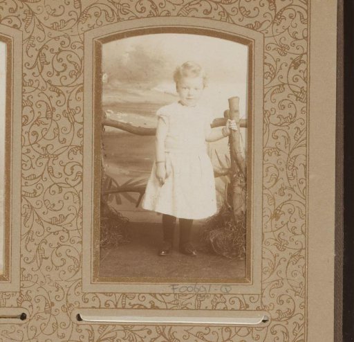 Portrait of a girl by a fence