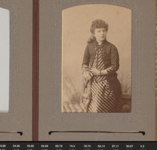 Portrait of a Young Woman