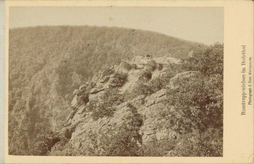 View of the Rosstrappenfelsen in the Bode Valley