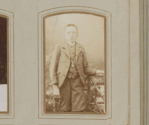 Portrait of a boy standing by a fence of twigs