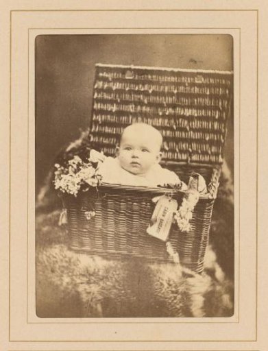 Portrait of a Baby, Seated in a Basket with Flowers